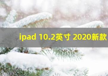 ipad 10.2英寸 2020新款